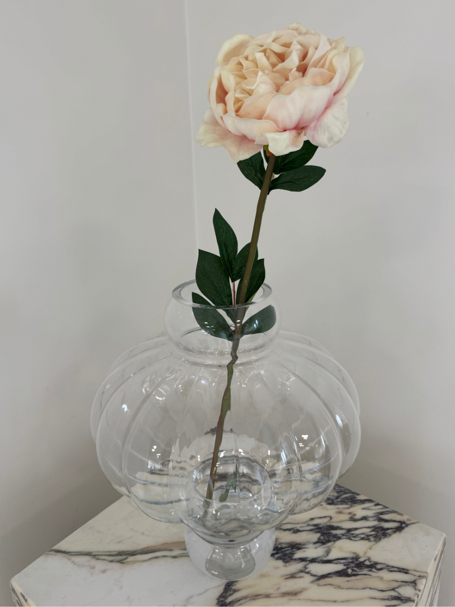Light Pink Peony
