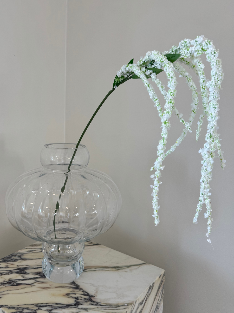 Pure White Amaranthus
