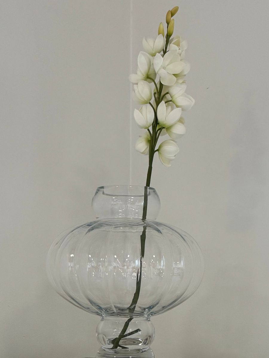 Desert Yucca Stem