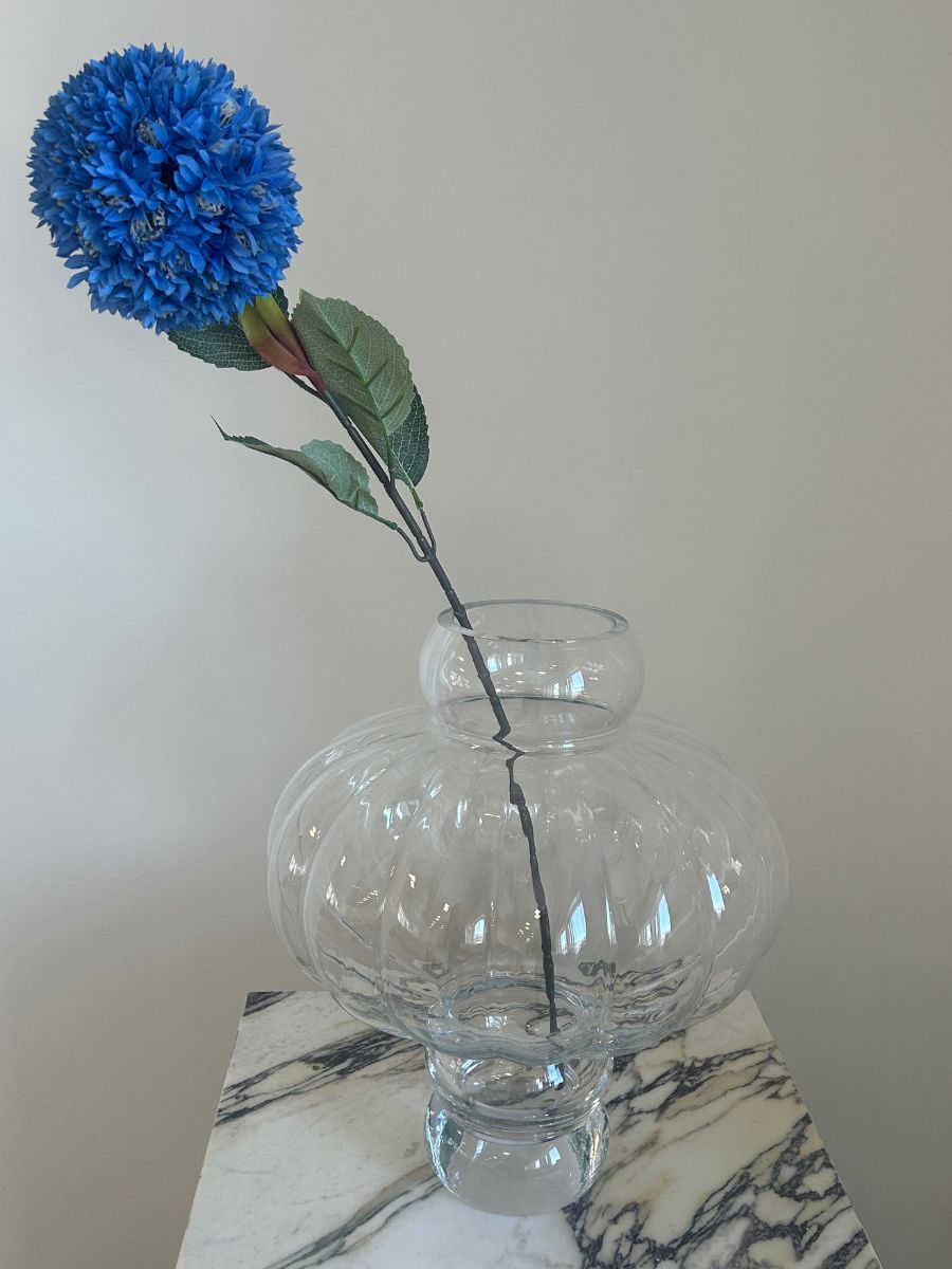 Blue Allium Azureum