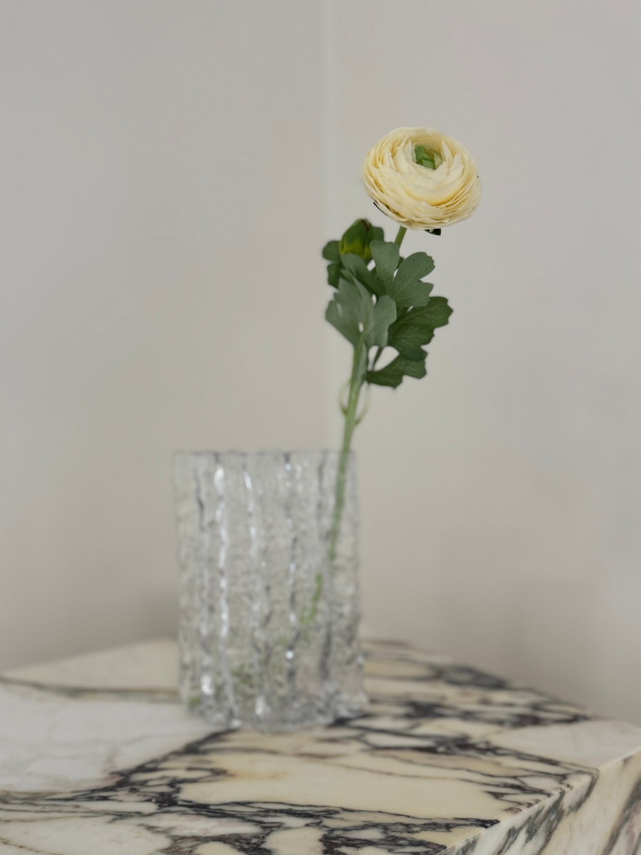 Ranunculus Flower White