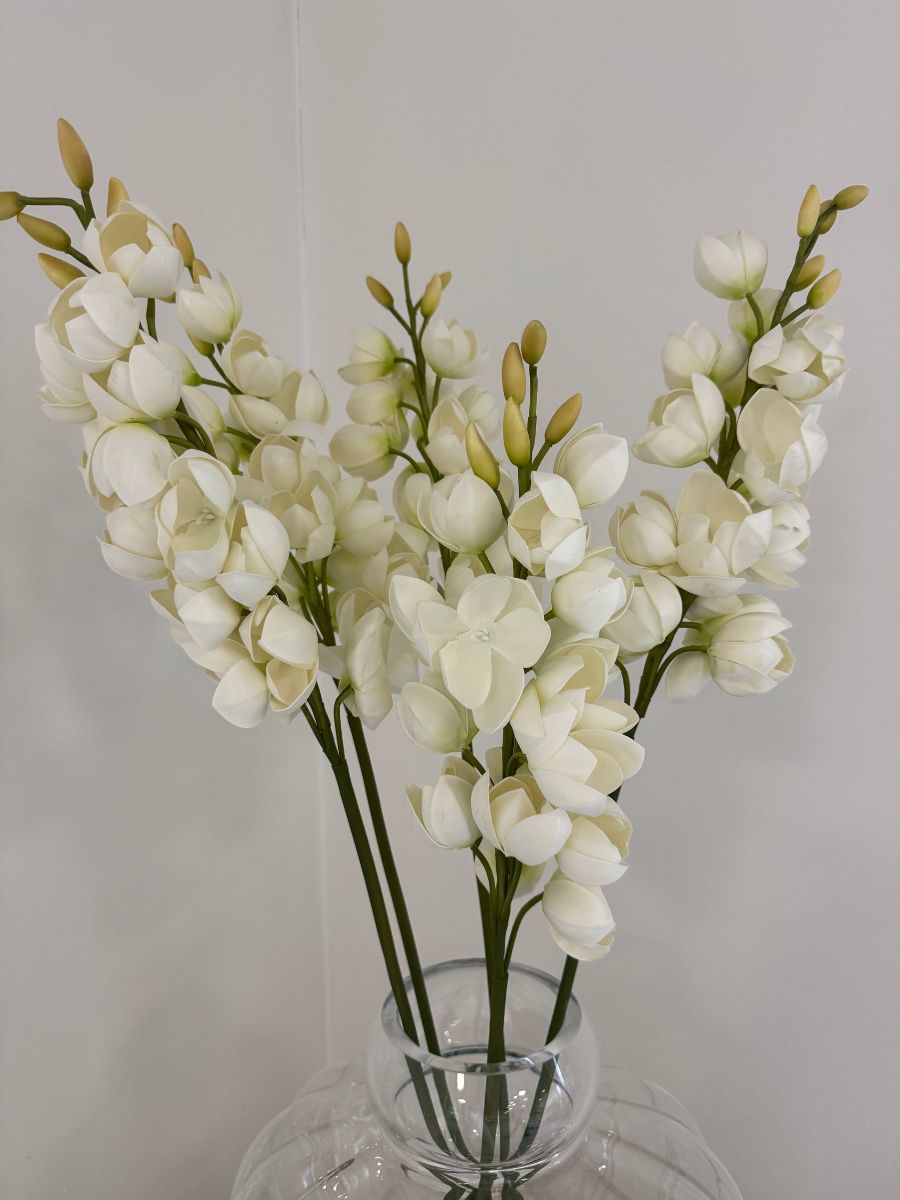 Desert Yucca Stem
