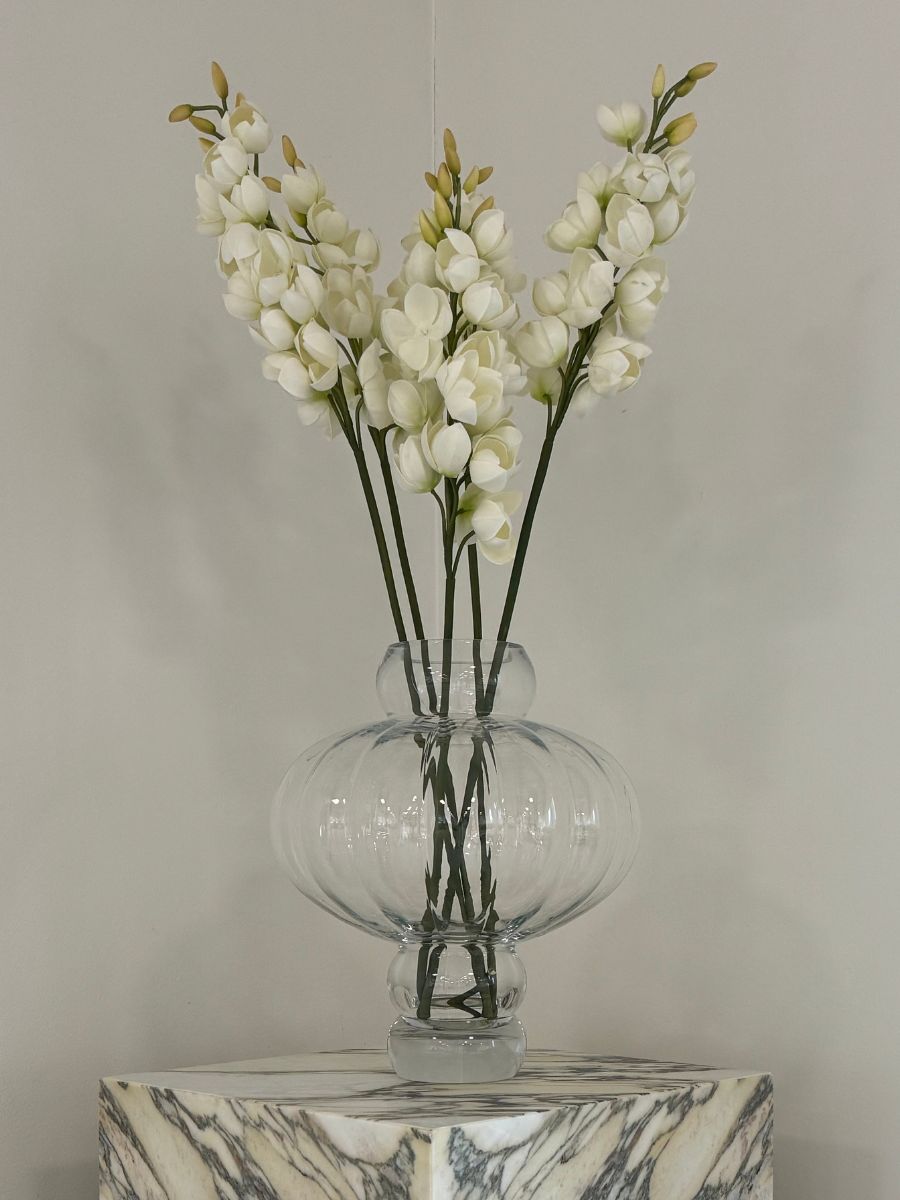 Desert Yucca Stem