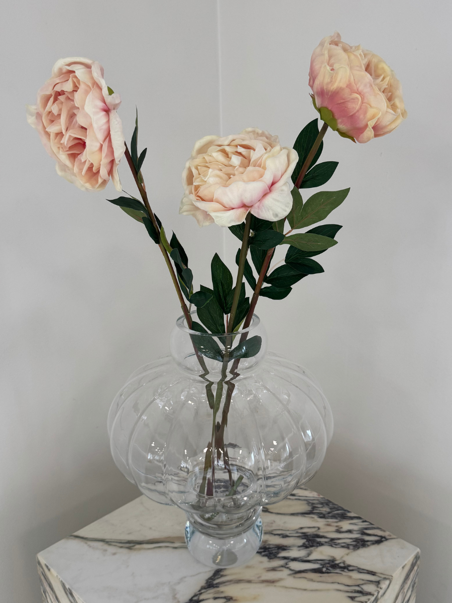 Light Pink Peony