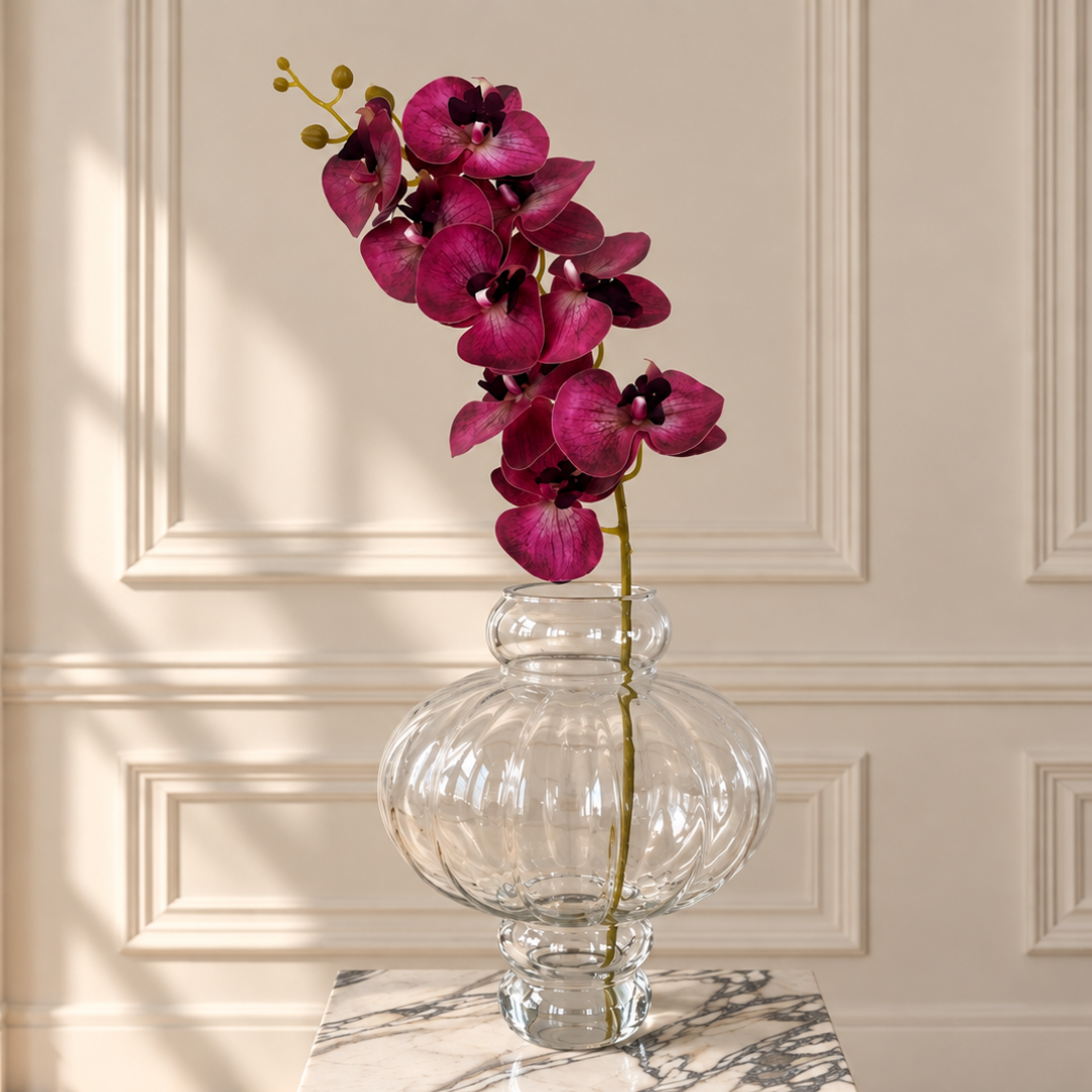 Burgundy Orchid