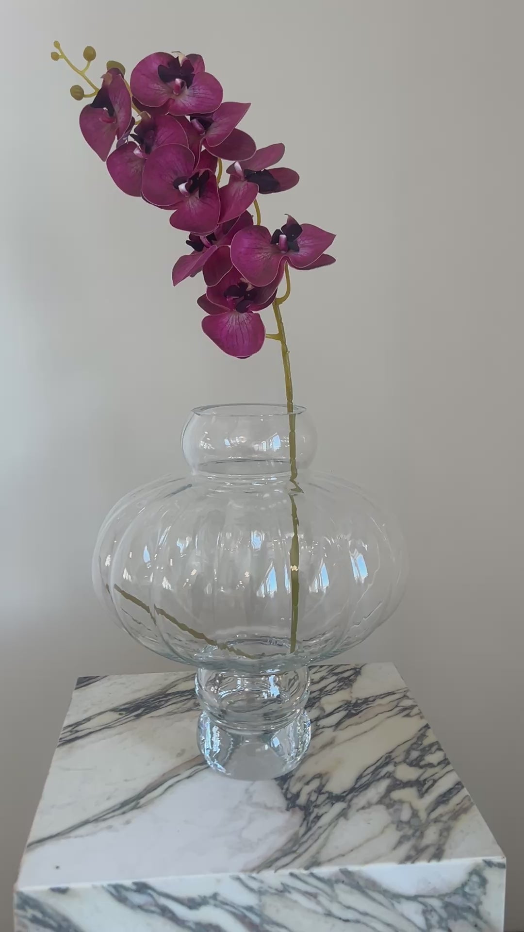 Burgundy Orchid