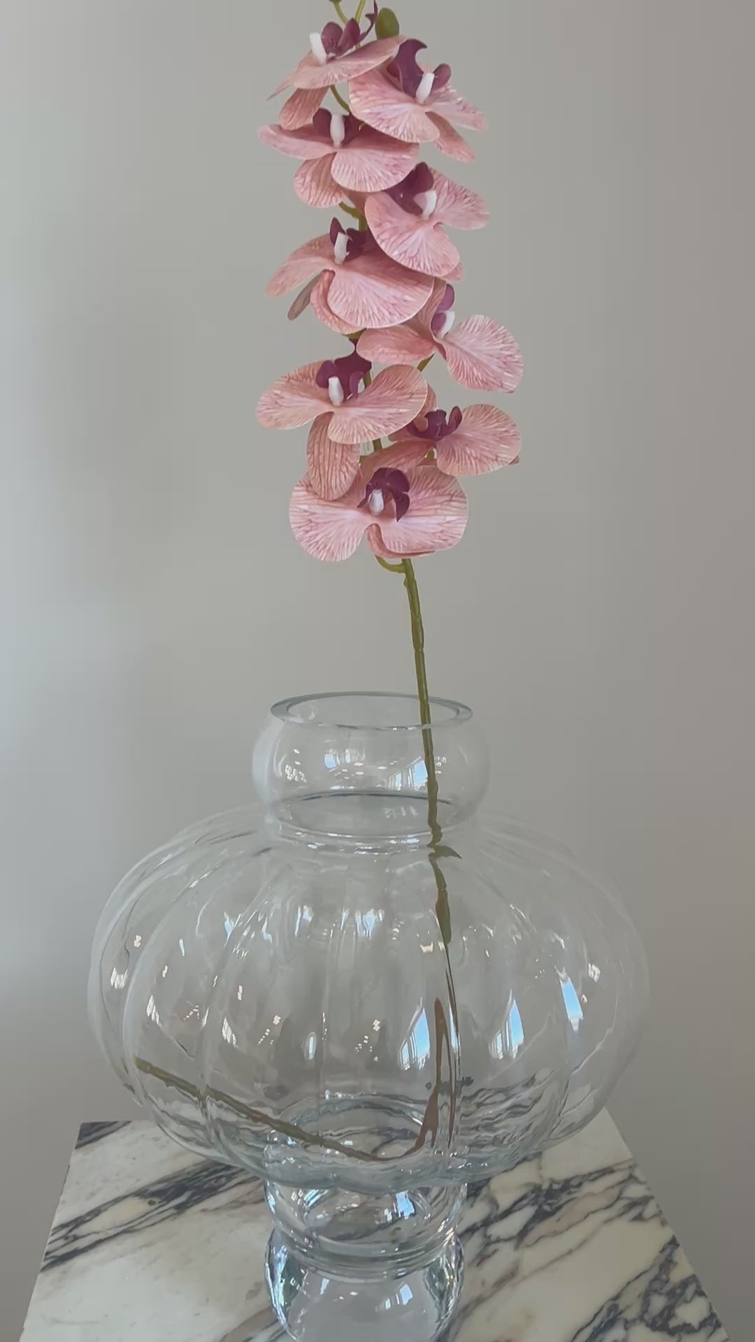 Peach Orchid